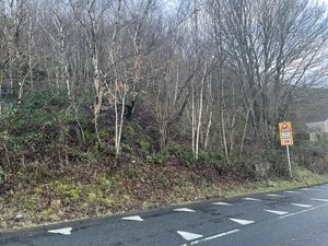 Photo 2- click for photo gallery